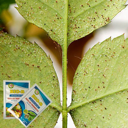 Thuốc trừ sâu sinh học bio-b
