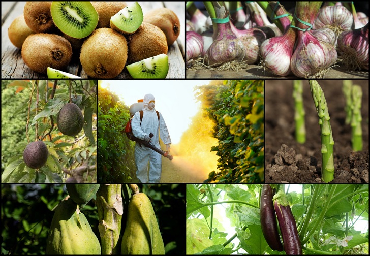 thuốc sâu sinh học