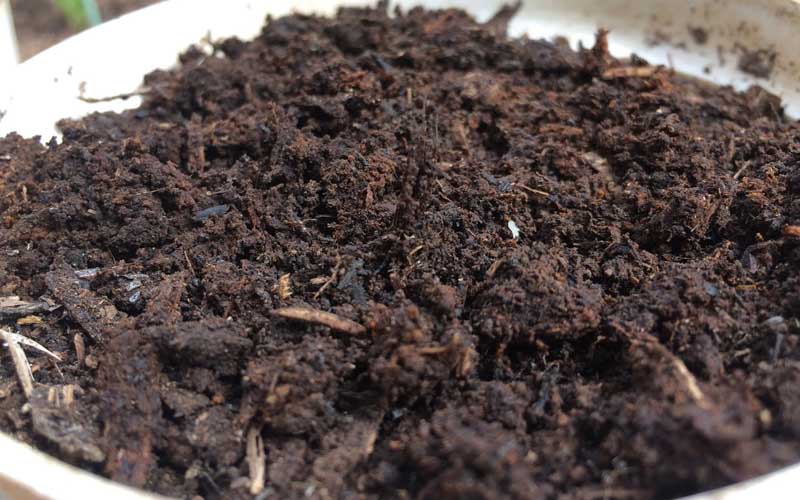 phan-trau-bo-thuoc-phan-bon-huu-co